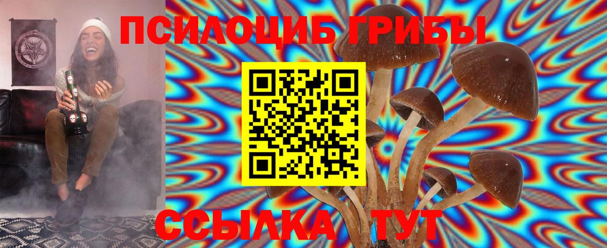 Галлюциногенные грибы Psilocybe  Вход с VPN  Протвино 